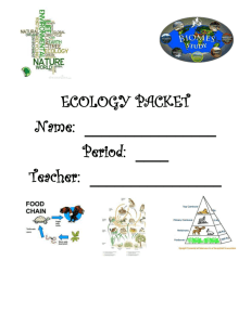 ecology packet