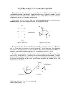 Enzyme Specificity of Sucrose and Lactose Hydrolysis