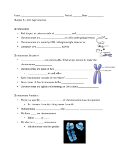 Cell Reproduction Skeleton Notes