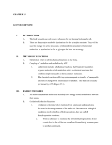 ch25 outline
