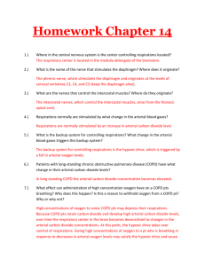 Chapter 14 Workbook Homework
