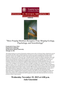 How Praying Mantises Recognize Prey: Merging Ecology