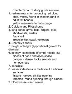 Chapter 5 part 1 study guide answers 1. red marrow is for producing