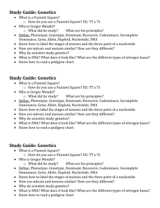 Study Guide: Genetics