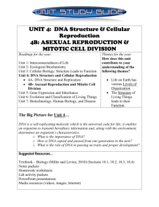 Unit 4: DNA Structure and Cellular Reproduction