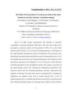 The effects of Peroxiredoxin VI on the preservation of the small