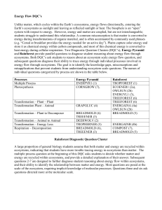 Rainforest DQC_Diagnosis Guide 1_8_2010