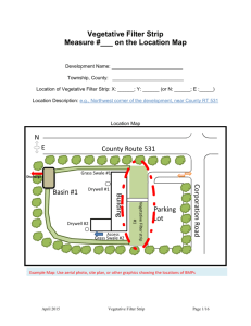 Vegetative Filter Strip Overview