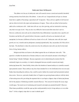 32 Credit Report Scenario Worksheet Answers - Notutahituq Worksheet