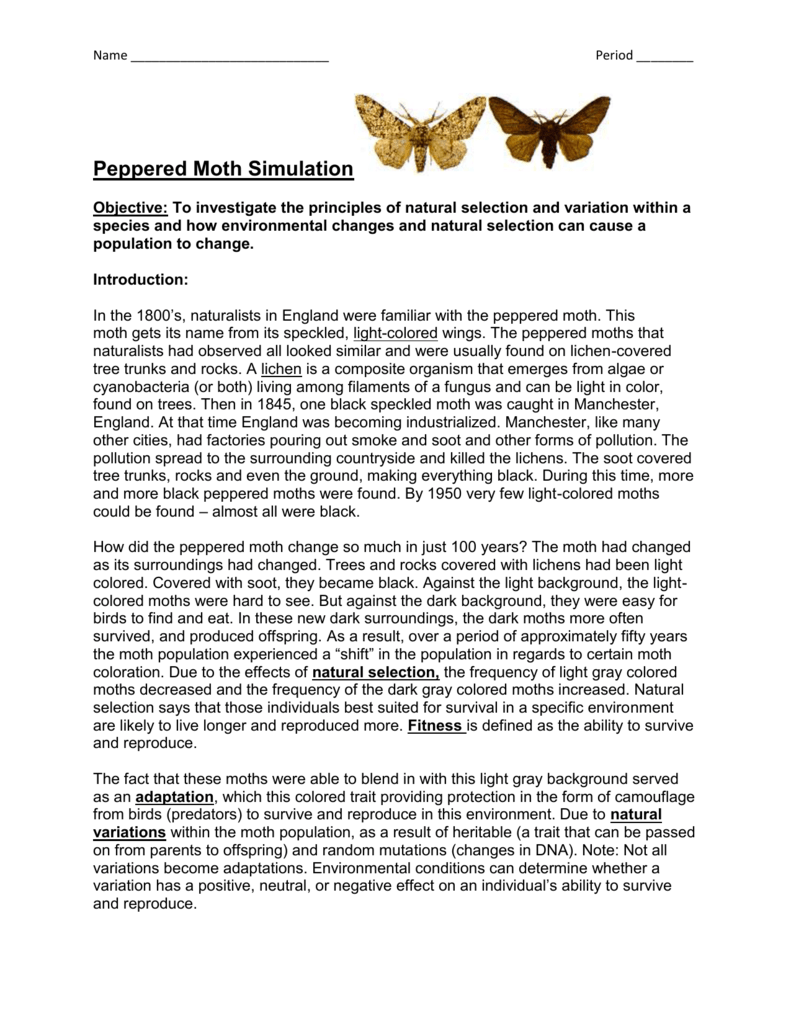 peppered-moth-simulation