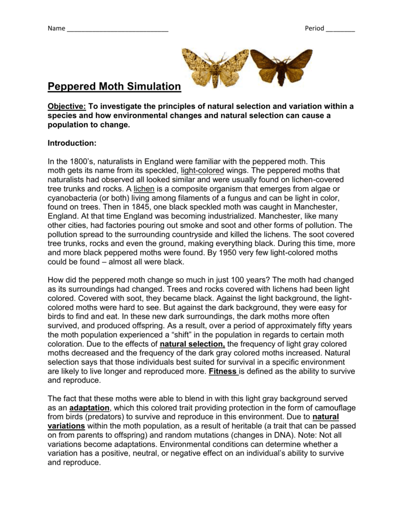 Peppered Moth Simulation