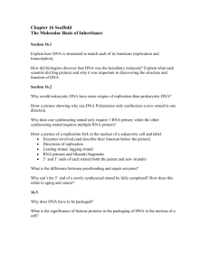 Chapter 16 Scaffold - DNA Structure/Function and