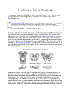Analysis of Early Hominins