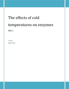 The effects of cold temperatures on enzymes