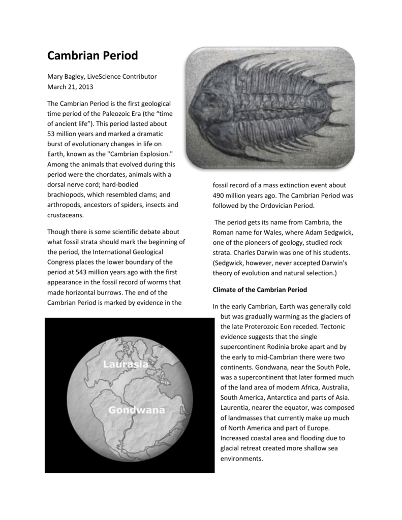 Fossils of the Cambrian Period