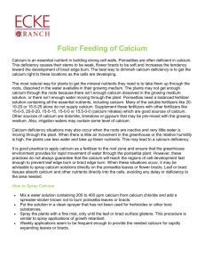 Foliar Feeding of Calcium