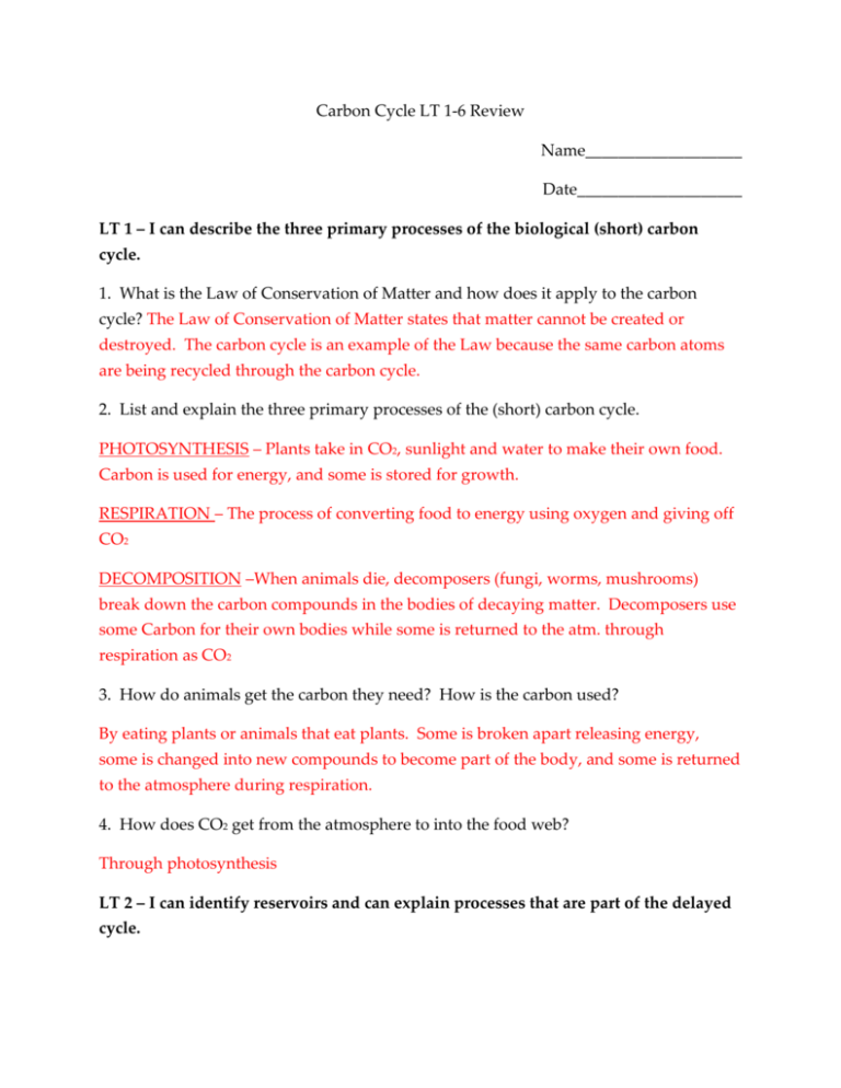 The Carbon Cycle Review Of Terms And Concepts Worksheet Answer Key