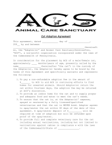 Read our cat agreements
