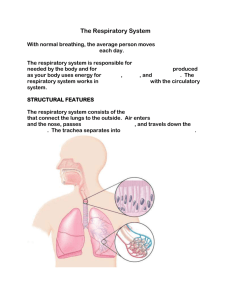 3.6, 3.8 The Respiratory and Musculoskeletal system student copy