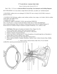 CARDIOVASCULAR SYSTEM STUDY GUIDE 2 (Pp. 334 – 339)