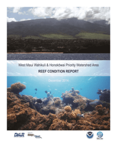 File - West Maui Ridge to Reef Initiative