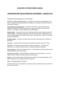 Job Description – Assistant Haywarden Jan 2015