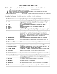 Genetics Study Gudie KEY
