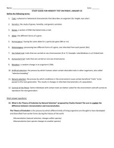 Name: Core: ______ STUDY GUIDE FOR HEREDITY TEST ON