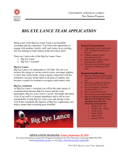 Big Eye Lance Responsibilities