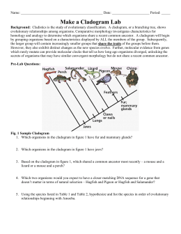 Cladogram Activity