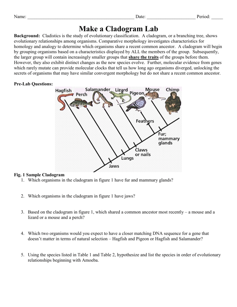 cladogram-practice-2-worksheet-answer-key-thekidsworksheet