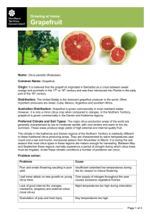 Growing at home- Grapefruit - Northern Territory Government