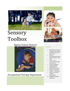 Sensory-Processing-Description-Toolbox-intro
