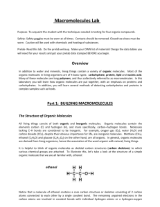 Macromolecules Lab - SchoolWorld an Edline Solution