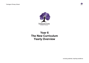 Year 6 Overview - Torkington Primary School