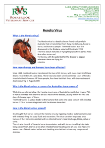 What are the signs of Hendra virus infection in horses?