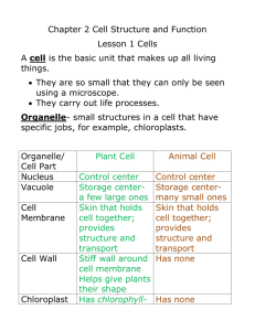 cell - TeacherWeb