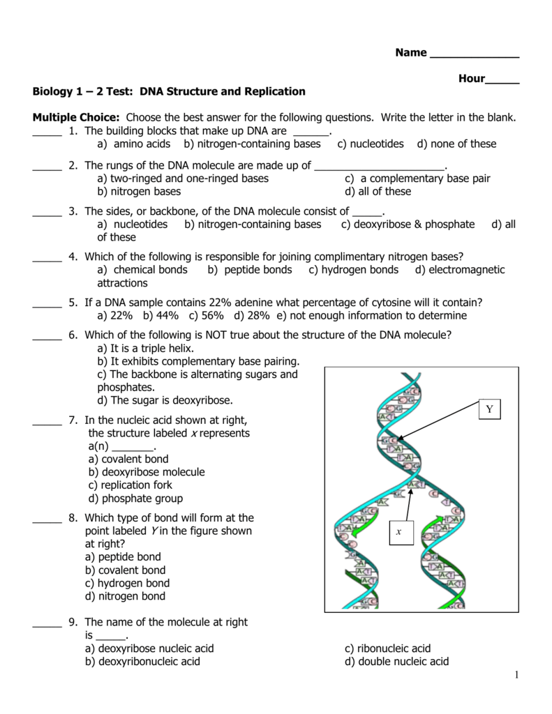 worksheet-1-dna-structure