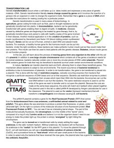 Fluorescent Protein Transformation Student Background