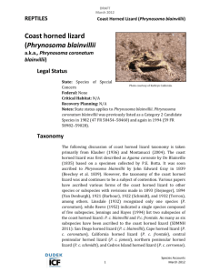 DRECP species account for coast horned lizard