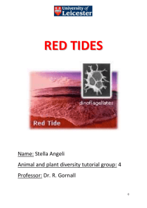 RED TIDES