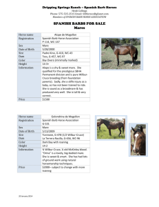 Dripping Springs Ranch – Spanish Barb Horses Heidi Collings