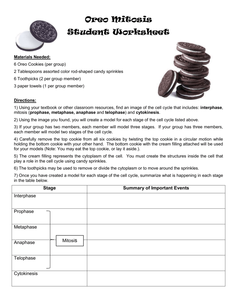 Oreo Mitosis Student Worksheet Materials Needed 6 Oreo Cookies