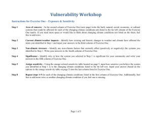 Vulnerability Worksheet