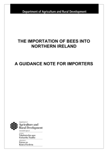 Guidance for Northern Ireland bee importers Word