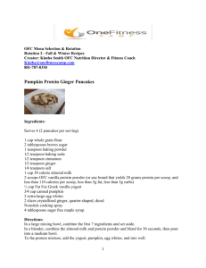 Pumpkin Protein Ginger Pancakes