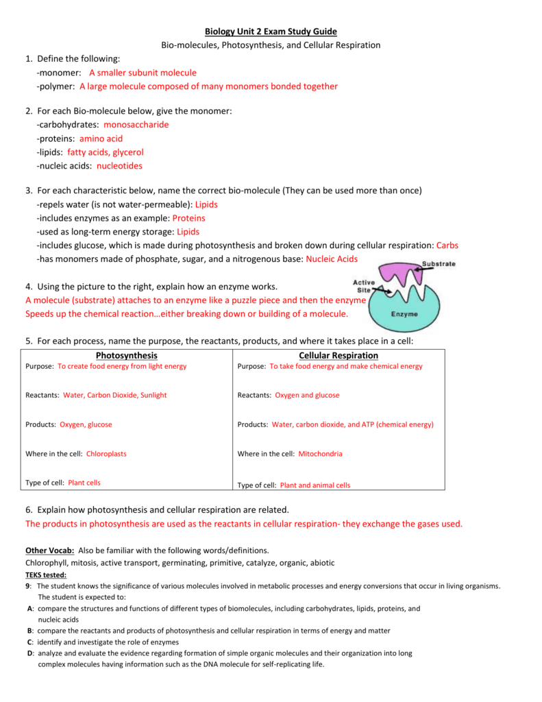 Biology Unit 2 Exam Study Guide