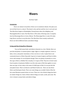 File - Gibbons Ecosystem Study