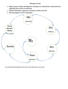 Nitrogen Cycle Activity