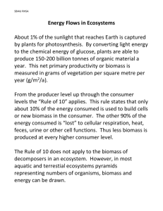 03 energy flows note